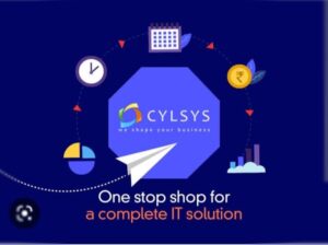 Read more about the article software solutions website- Cylsys Software