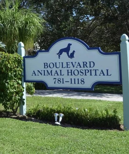 Read more about the article Boulevard Animal Hospital